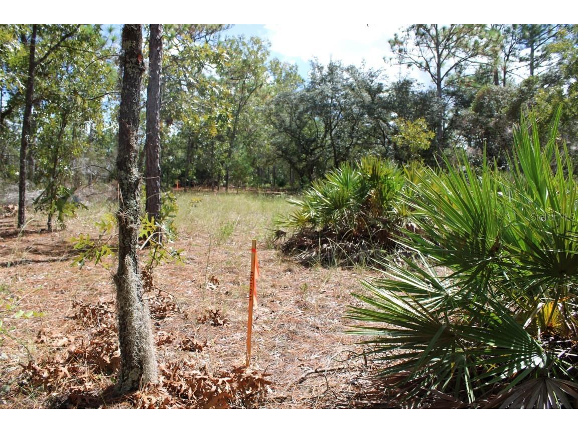 5784 N Durango Terrace Beverly Hills FL 34465 W7880605 image4