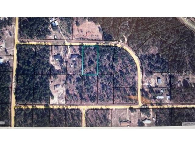 5785 Bitterroot Street Keystone Heights FL 32656 OM646838 image1
