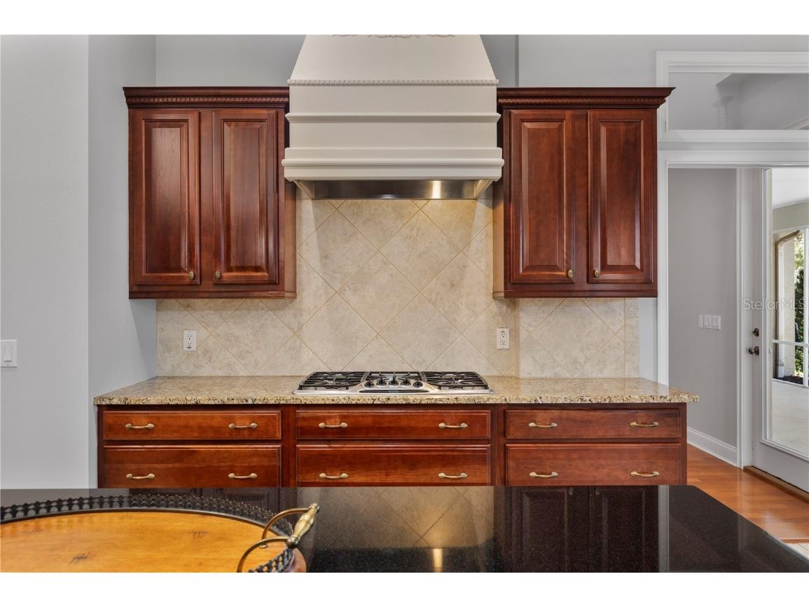 5789 Lake Victoria Drive Lakeland FL 33813 - Lake Victoria L4956471 image43