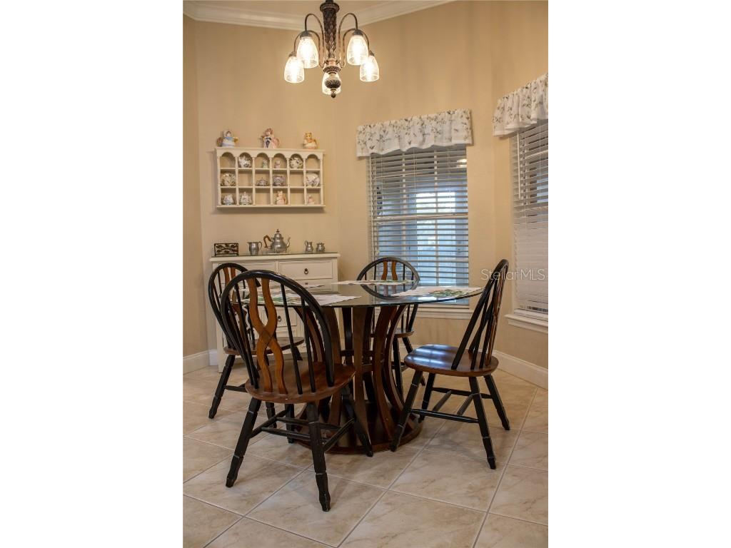 579 Powder Horn Row Lakeland FL 33809 L4956402 image21