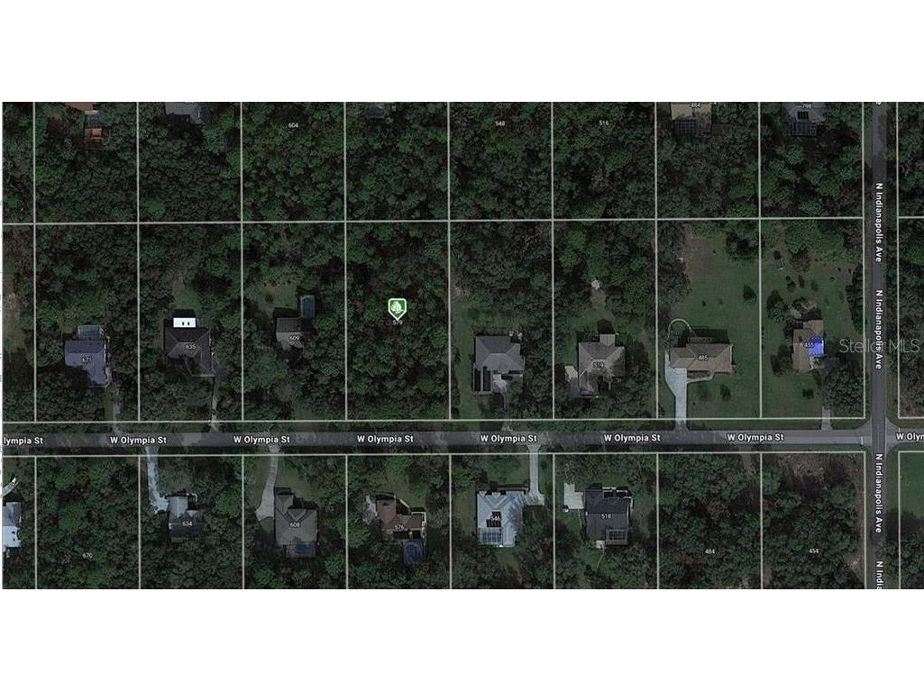 579 W Olympia Street Hernando FL 34442 J993775 image1