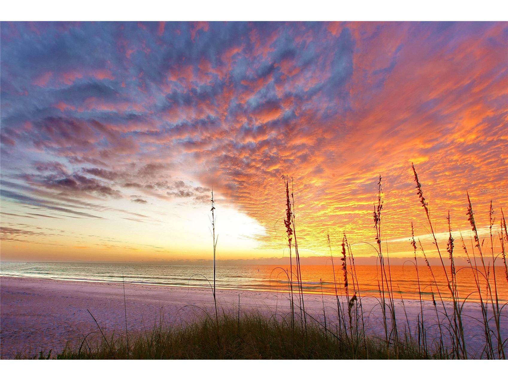 5790 Midnight Pass Road #208 Sarasota FL 34242 - GULF OF AMERICA A4683618 image28