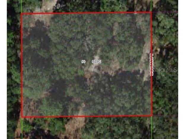 5790 S Butan Point Homosassa FL 34446 W7859773 image1