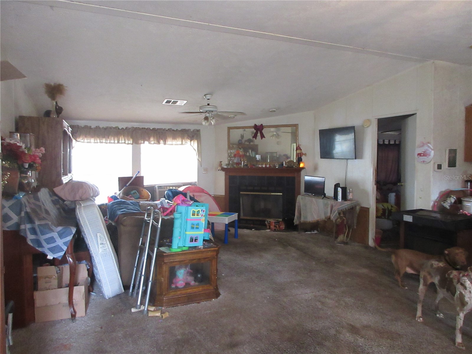5790 SE 183rd Terrace Ocklawaha FL 32179 OM721882 image15
