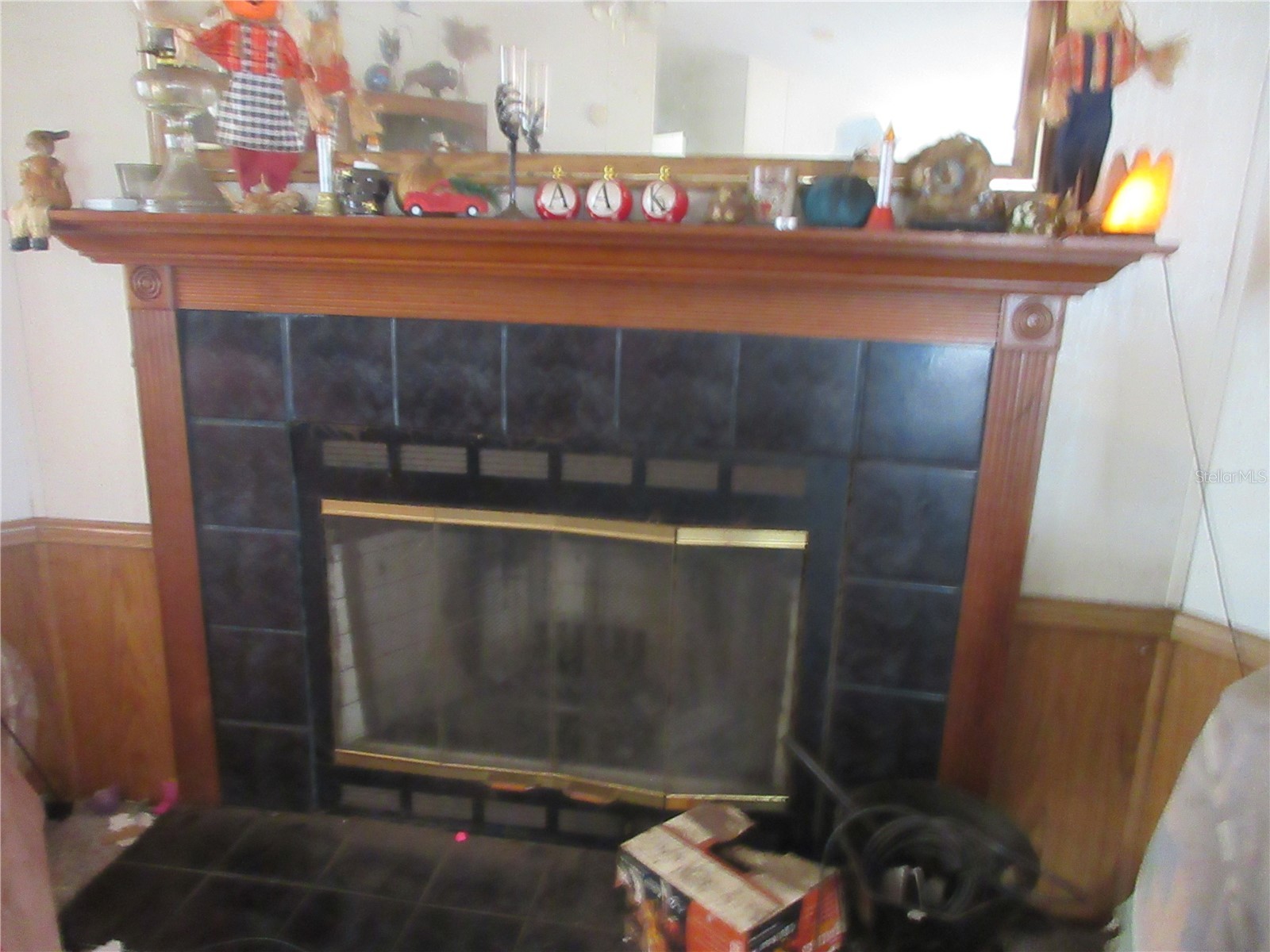 5790 SE 183rd Terrace Ocklawaha FL 32179 OM721882 image16