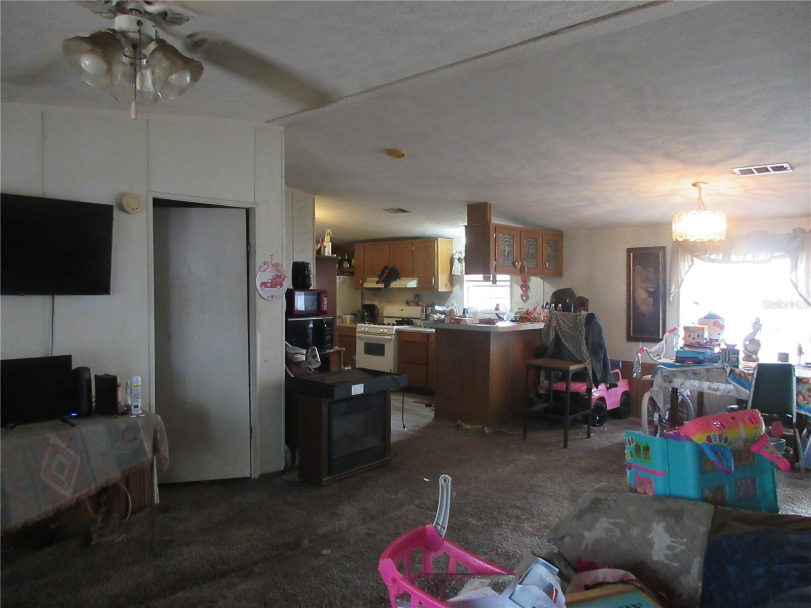 5790 SE 183rd Terrace Ocklawaha FL 32179 OM721882 image18