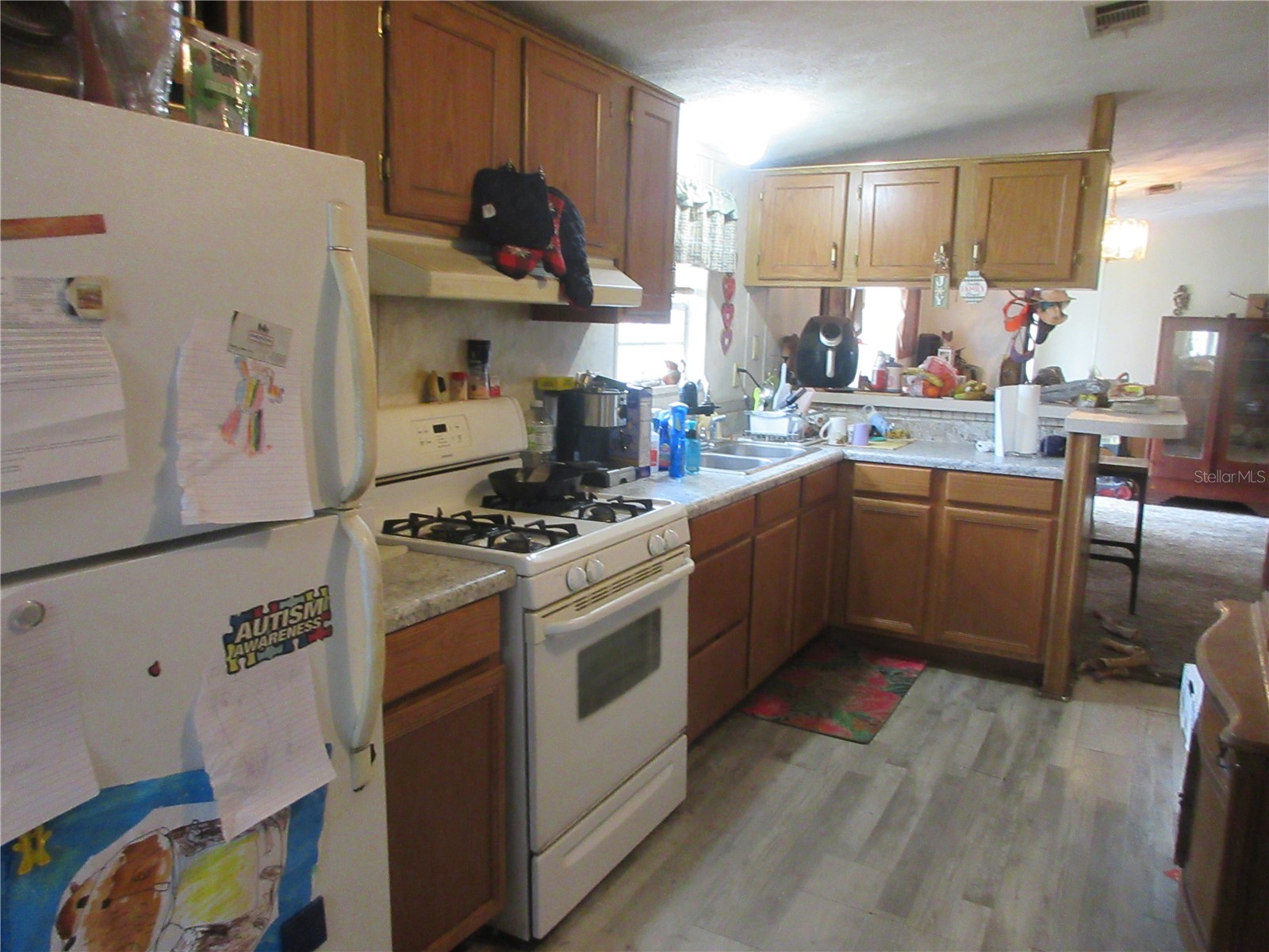 5790 SE 183rd Terrace Ocklawaha FL 32179 OM721882 image21