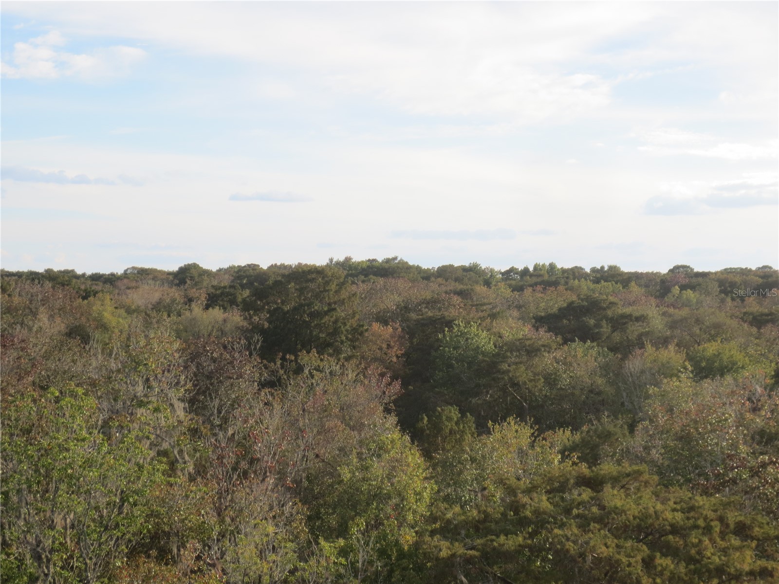 5790 SE 183rd Terrace Ocklawaha FL 32179 OM721882 image45