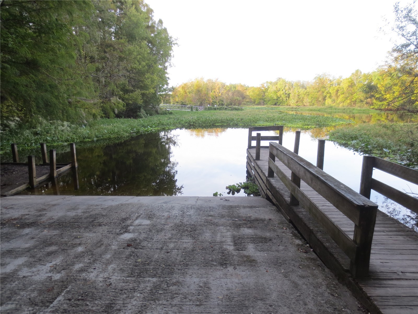 5790 SE 183rd Terrace Ocklawaha FL 32179 OM721882 image49