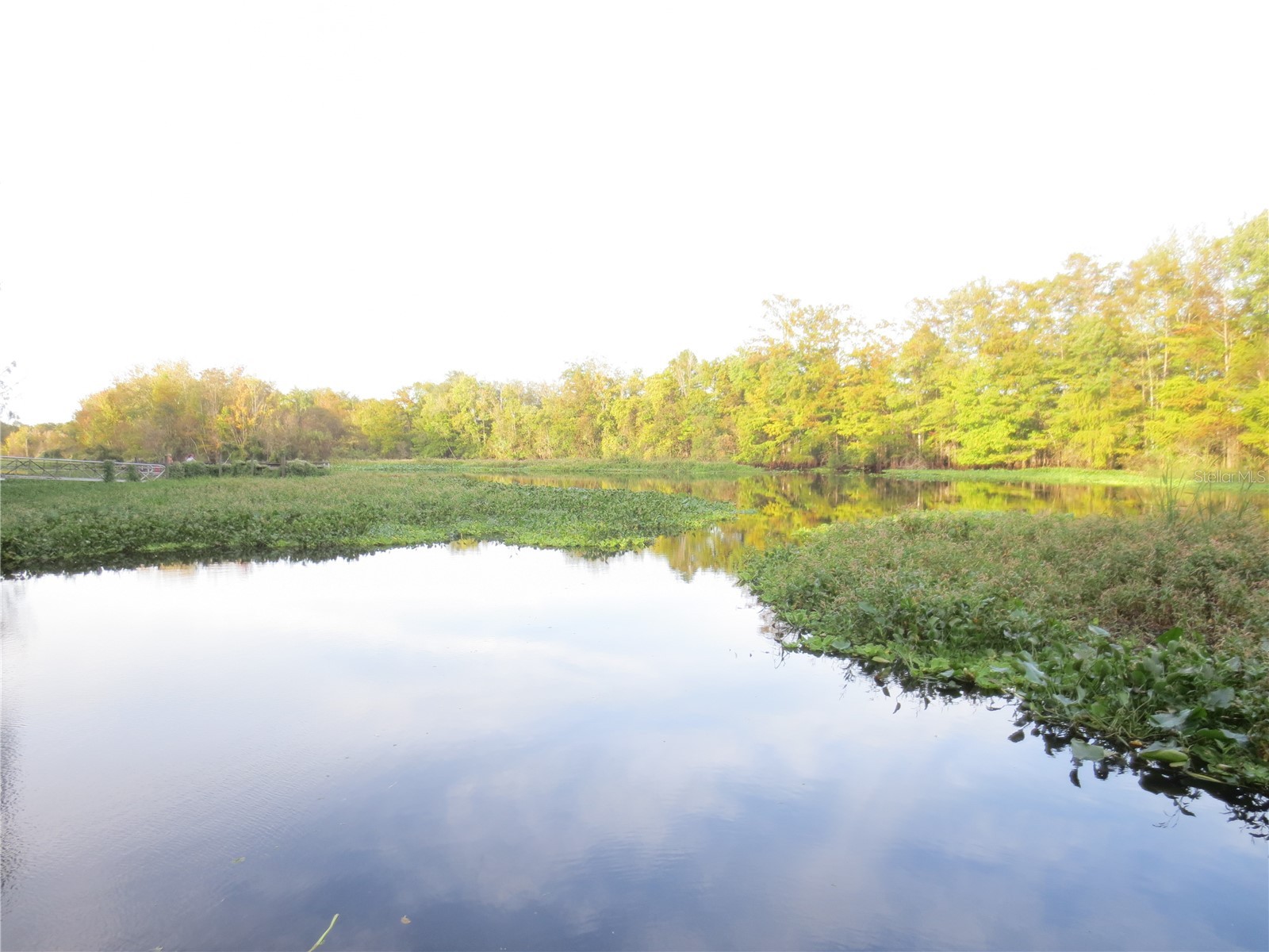 5790 SE 183rd Terrace Ocklawaha FL 32179 OM721882 image51