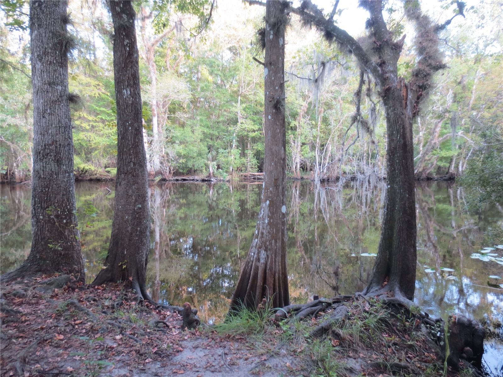 5790 SE 183rd Terrace Ocklawaha FL 32179 OM721882 image54