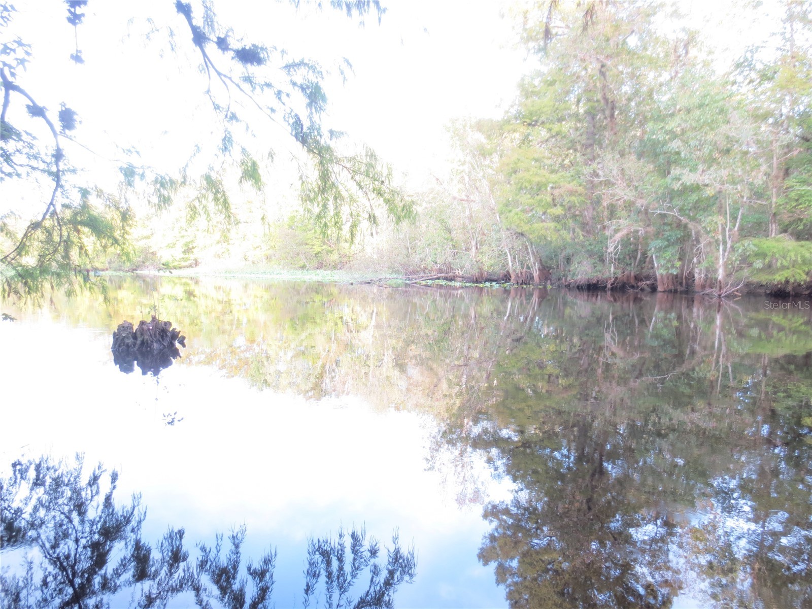 5790 SE 183rd Terrace Ocklawaha FL 32179 OM721882 image56