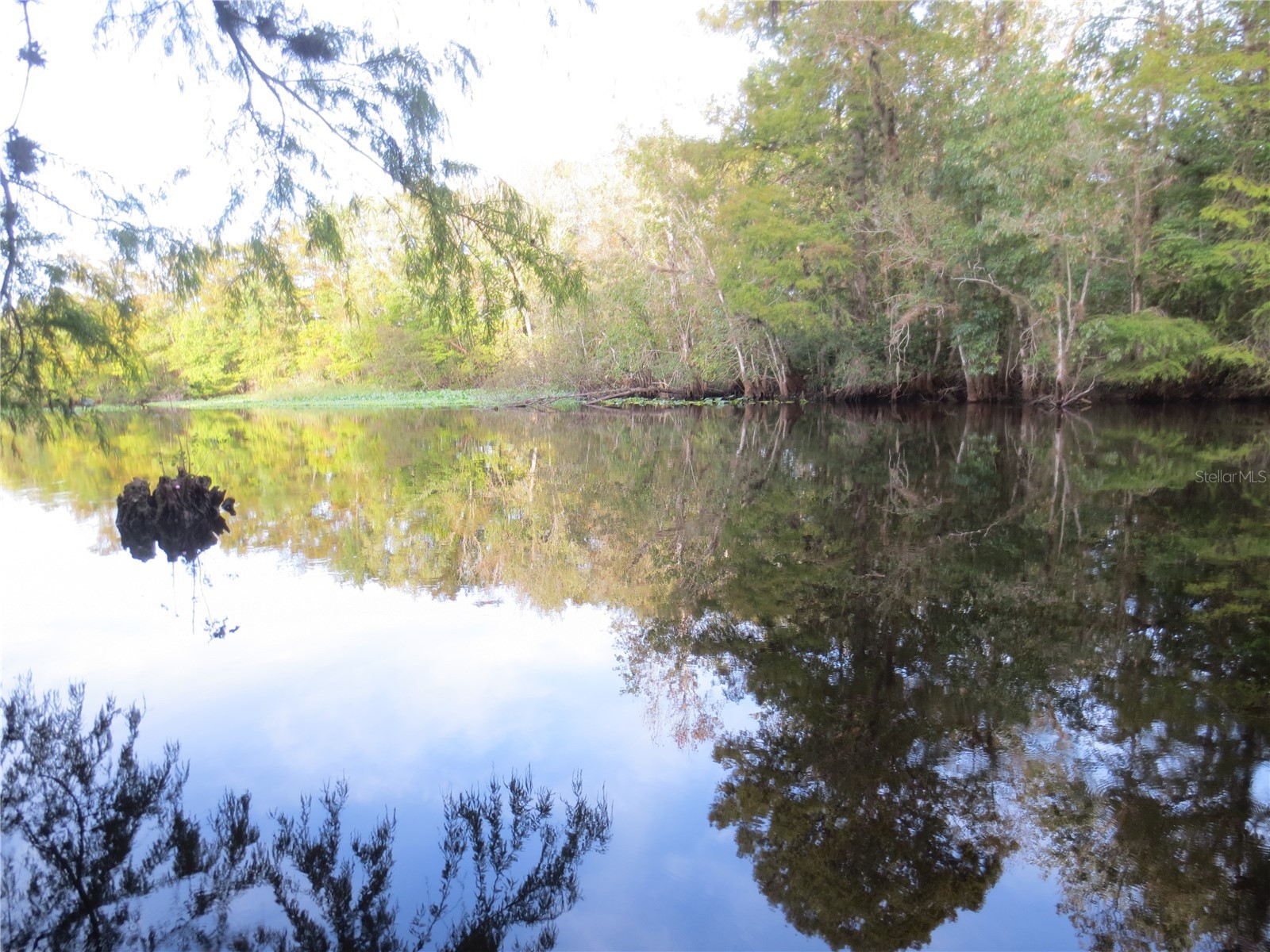 5790 SE 183rd Terrace Ocklawaha FL 32179 OM721882 image57