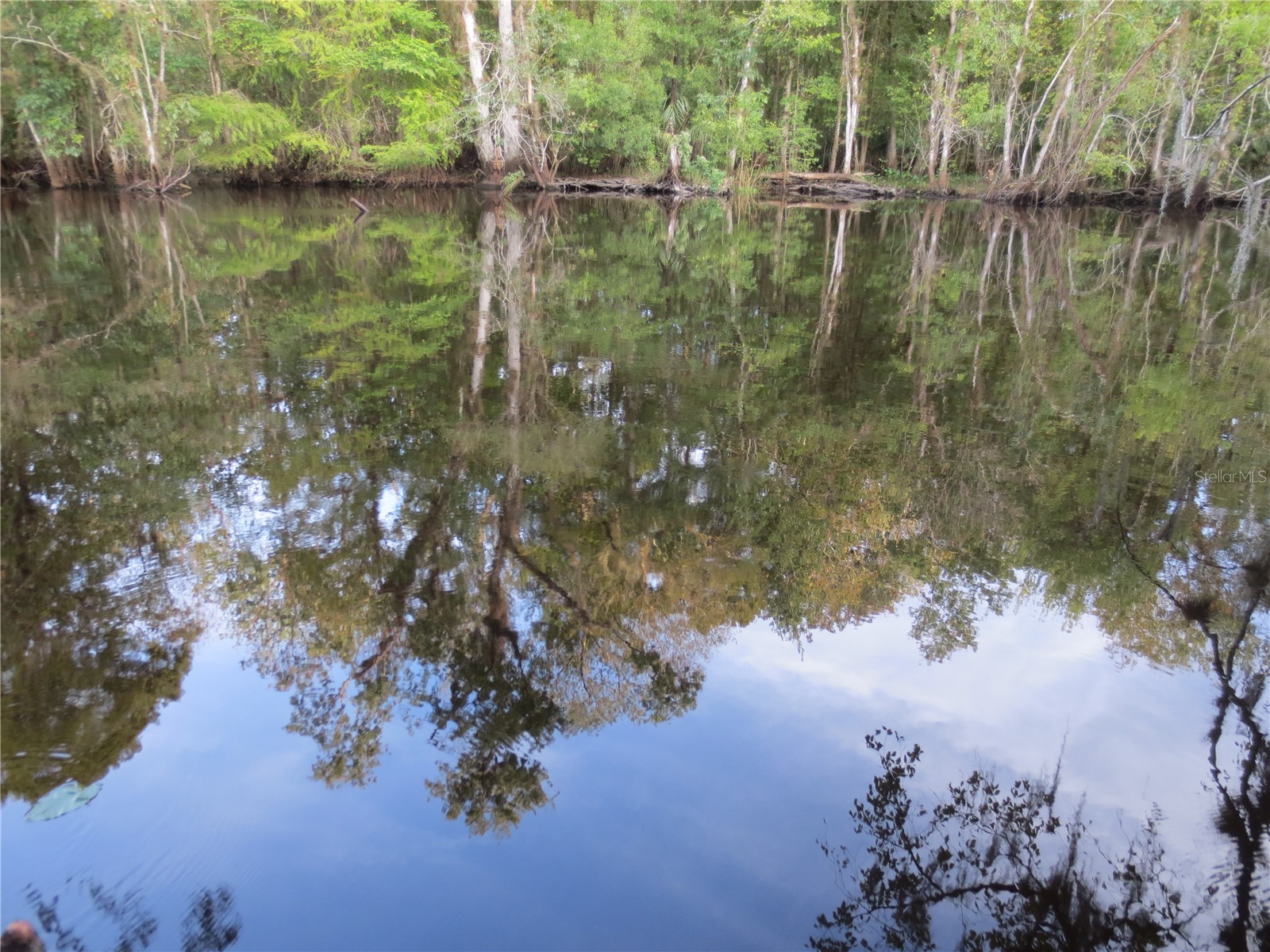 5790 SE 183rd Terrace Ocklawaha FL 32179 OM721882 image58