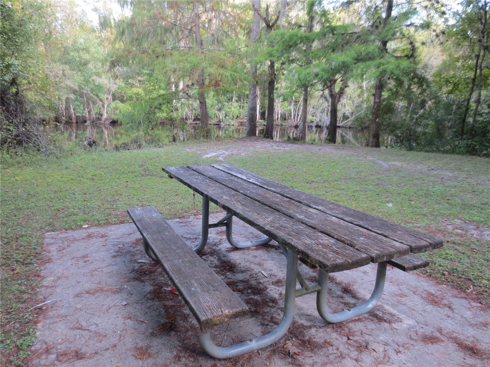5790 SE 183rd Terrace Ocklawaha FL 32179 OM721882 image59