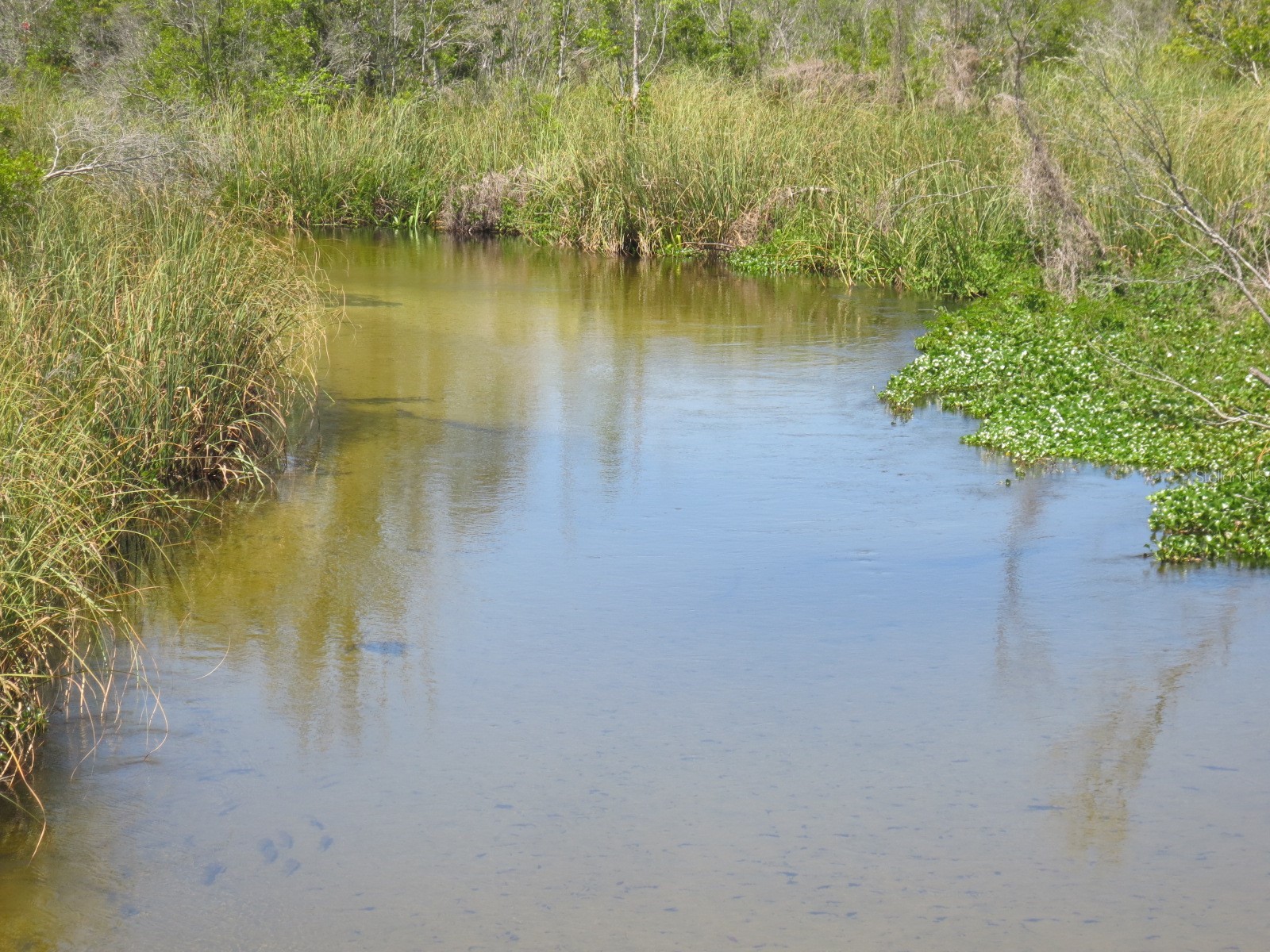 5790 SE 183rd Terrace Ocklawaha FL 32179 OM721882 image67