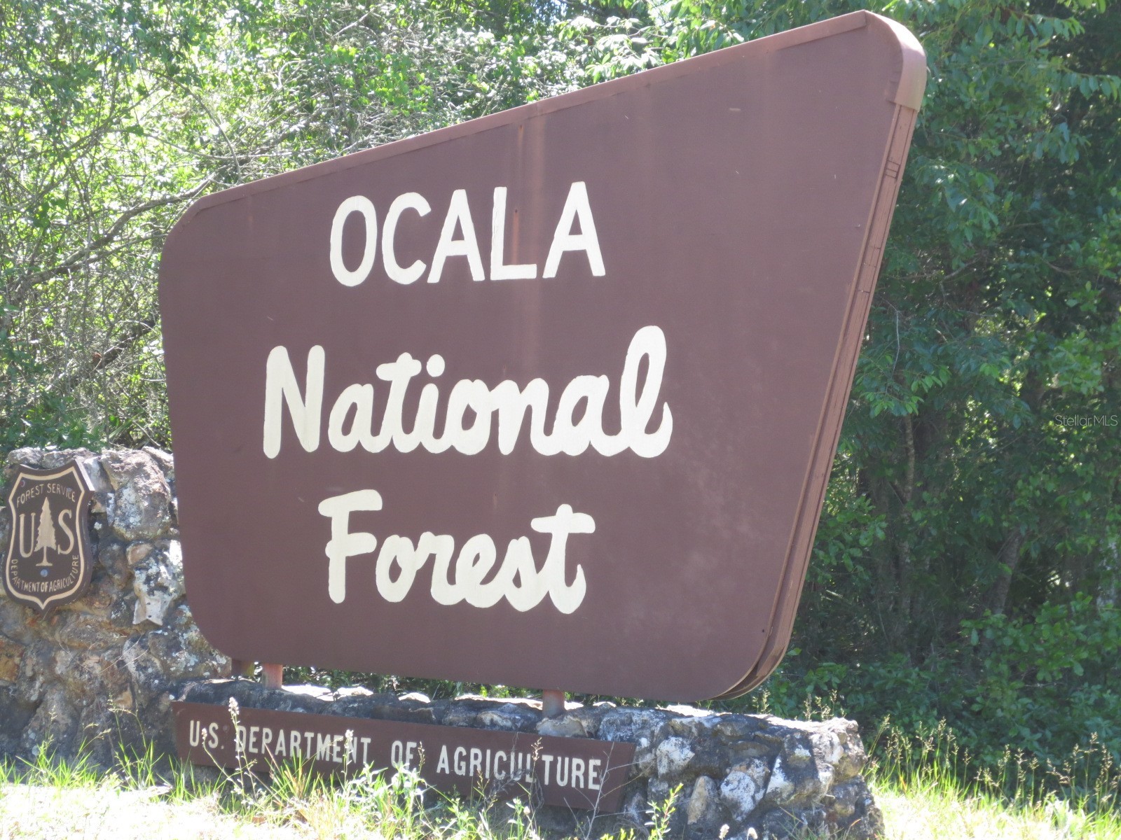5790 SE 183rd Terrace Ocklawaha FL 32179 OM721882 image75