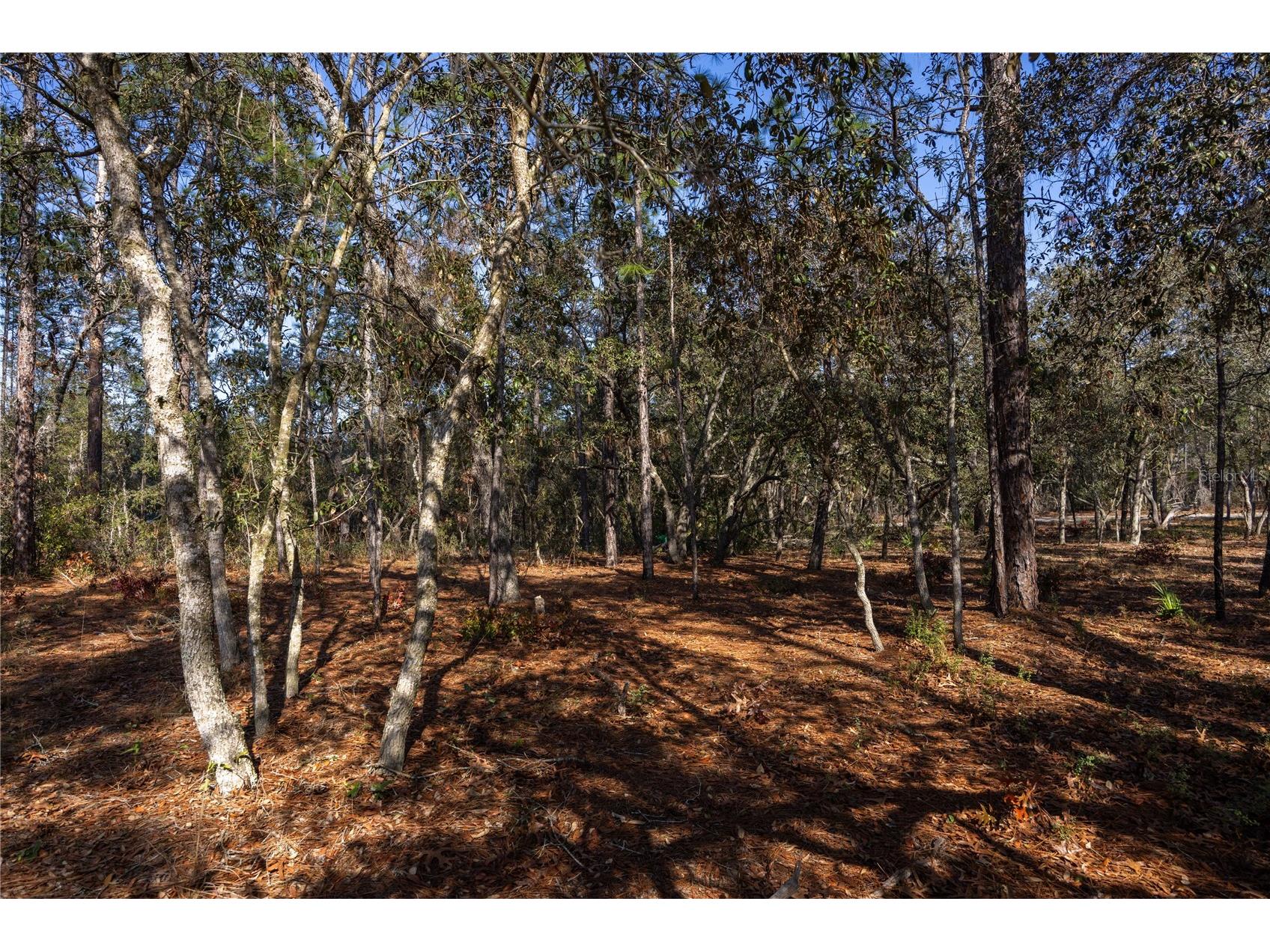 5793 SW 121st Terrace Ocala FL 34481 GC537340 image44