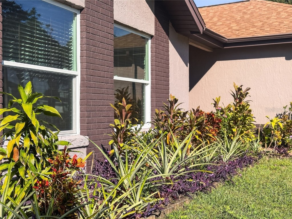 5794 Grand Canyon Drive Orlando FL 32810 O6359482 image4