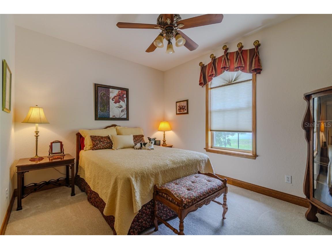 5795 SW 43rd Place Ocala FL 34474 TB8383432 image73