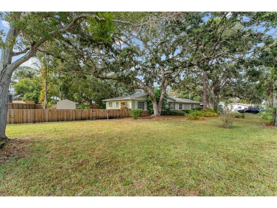 58 Arnoni Drive Dunedin FL 34698 TB8419814 image11