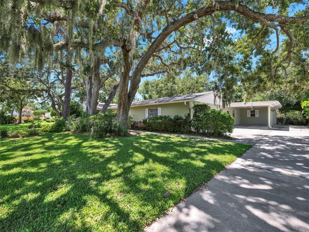 58 Arnoni Drive Dunedin FL 34698 TB8419814 image3