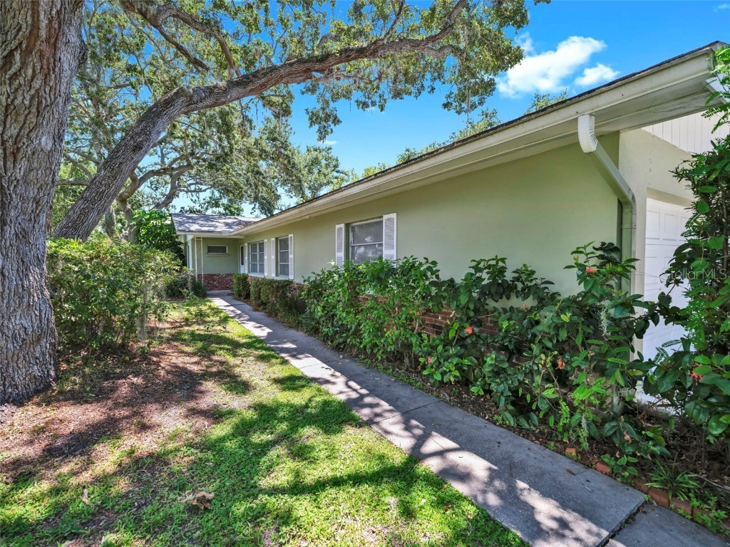 58 Arnoni Drive Dunedin FL 34698 TB8419814 image4