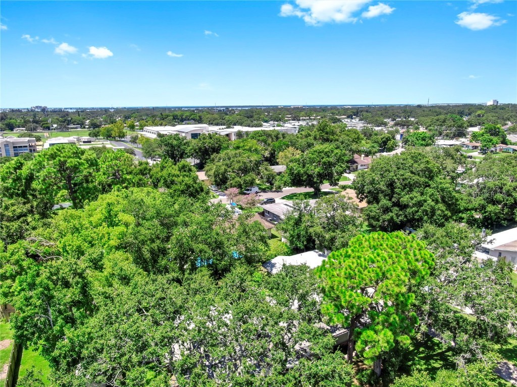 58 Arnoni Drive Dunedin FL 34698 TB8419814 image5