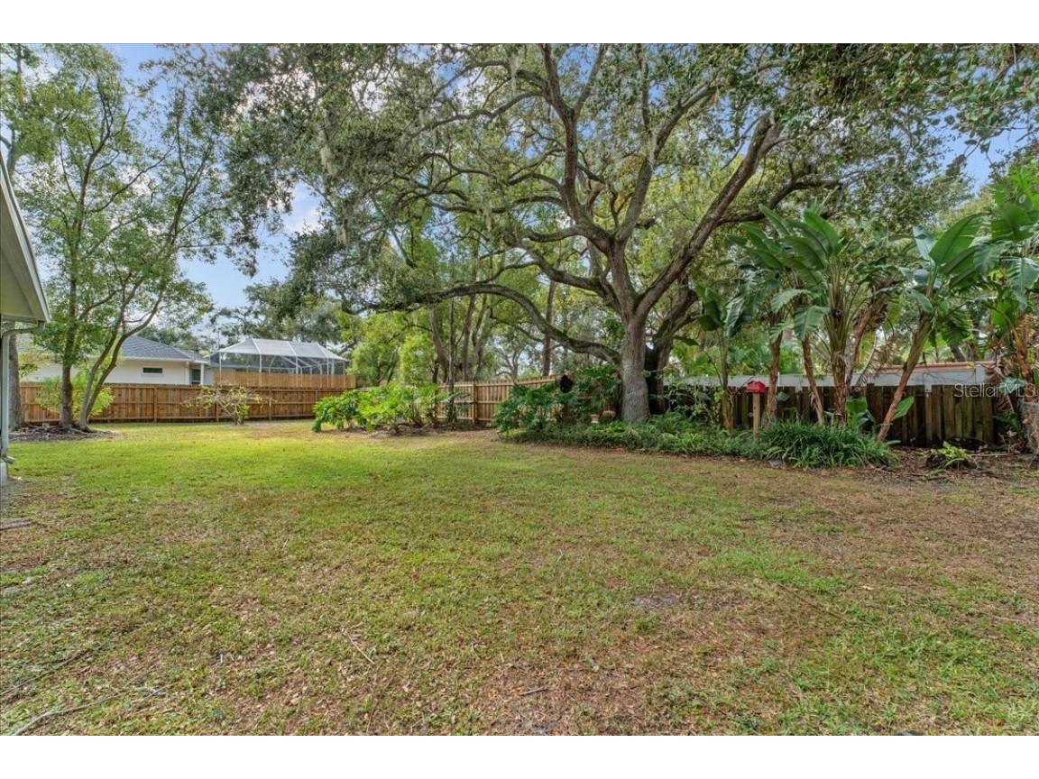 58 Arnoni Drive Dunedin FL 34698 TB8419814 image71