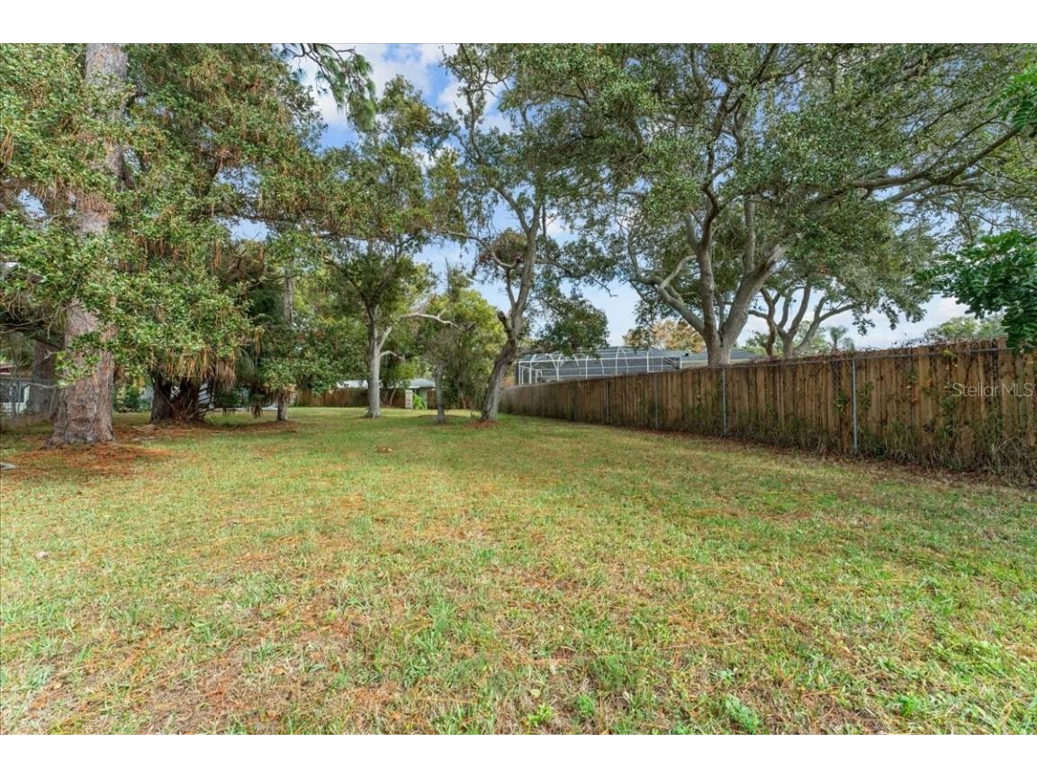 58 Arnoni Drive Dunedin FL 34698 TB8419814 image79