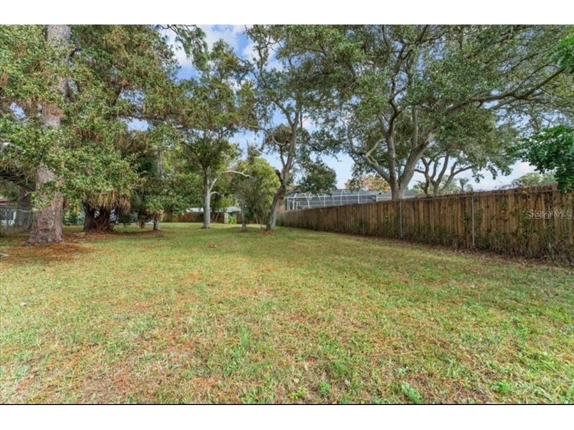 58 Arnoni Drive Dunedin FL 34698 TB8484634 image62