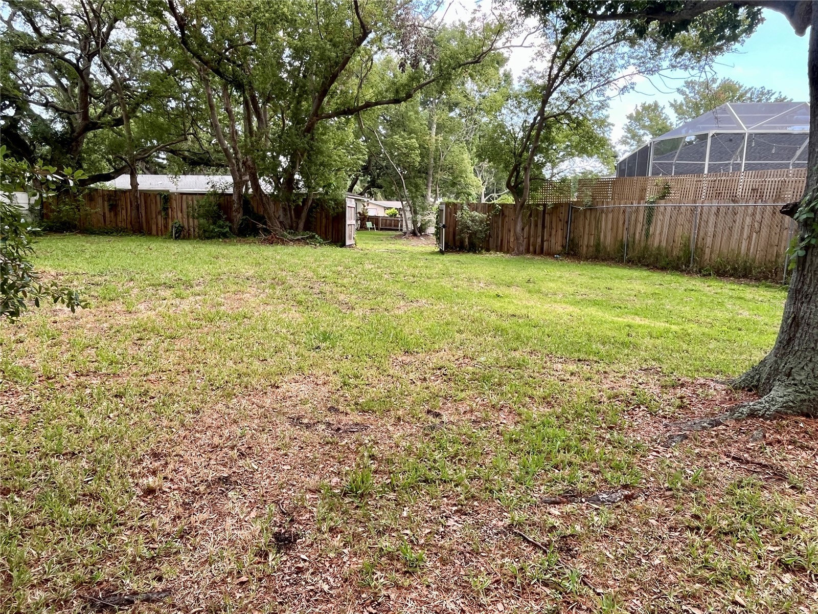 58 Arnoni Drive Dunedin FL 34698 TB8512121 image31