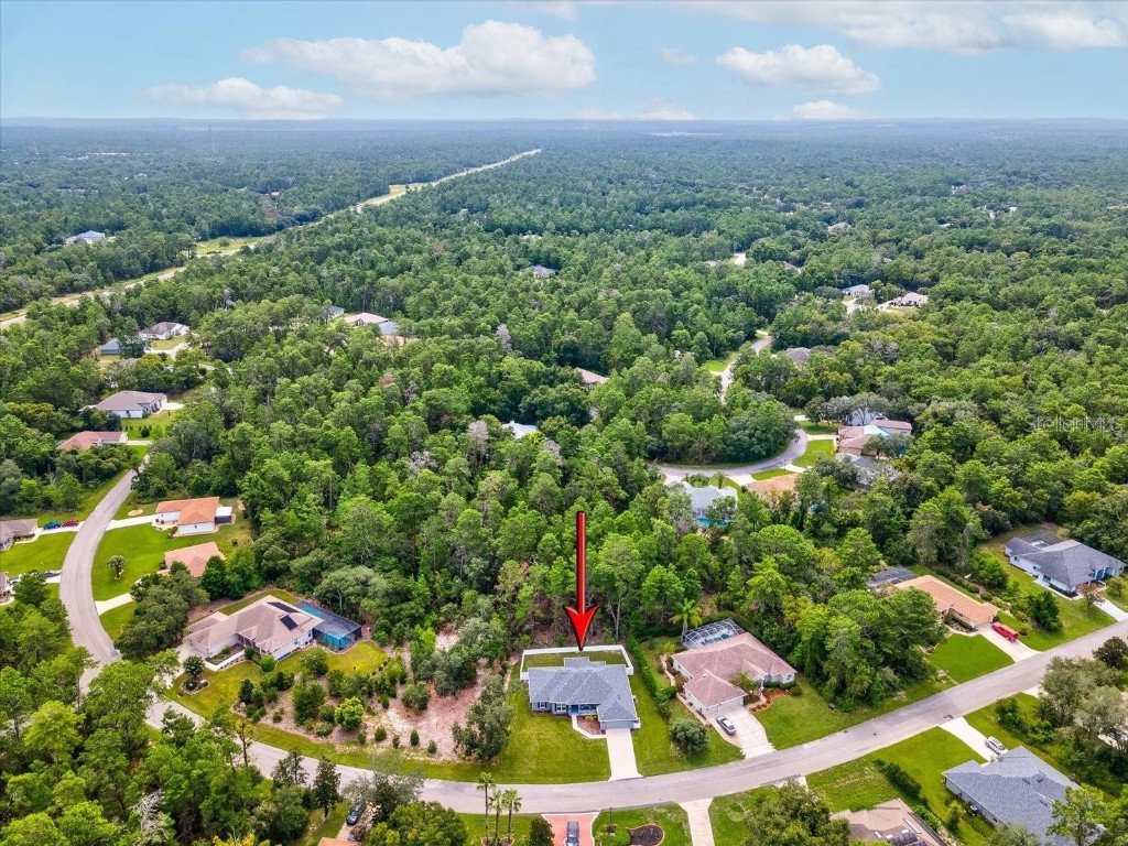 58 Bells Of Ireland Court Homosassa FL 34446 TB8423412 image29