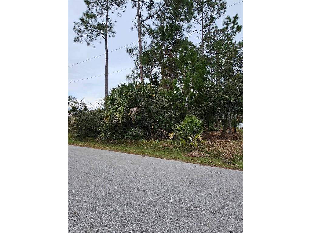 58 Bunker Hill Drive Palm Coast FL 32137 FC296919 image1