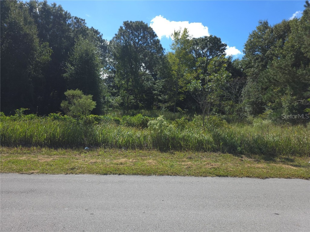 58 Juniper Pass Ocala FL 34480 OM711476 image1