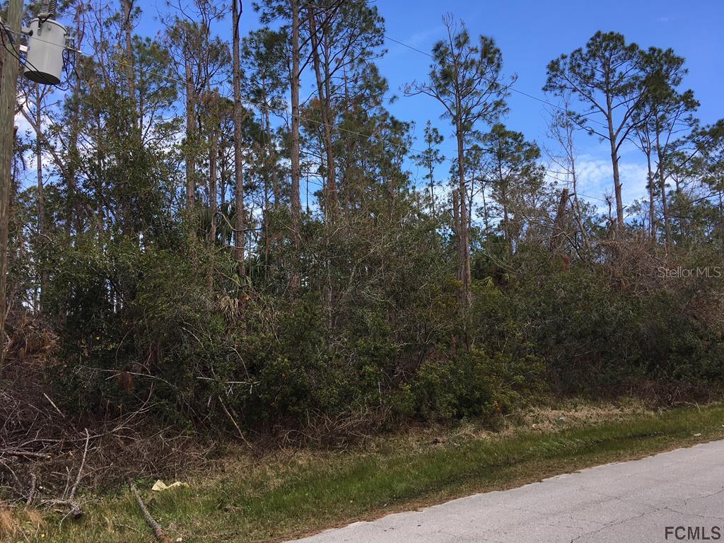 58 Renshaw Drive Palm Coast FL 32164 FC274922 image2