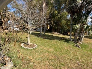 58 S Kentucky Avenue Umatilla FL 32784 G5108584 image28