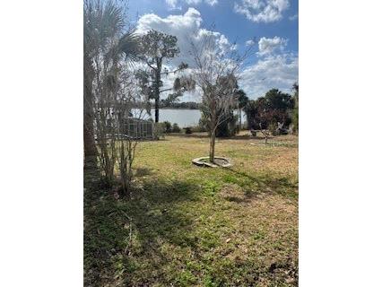 58 S Kentucky Avenue Umatilla FL 32784 G5108584 image40