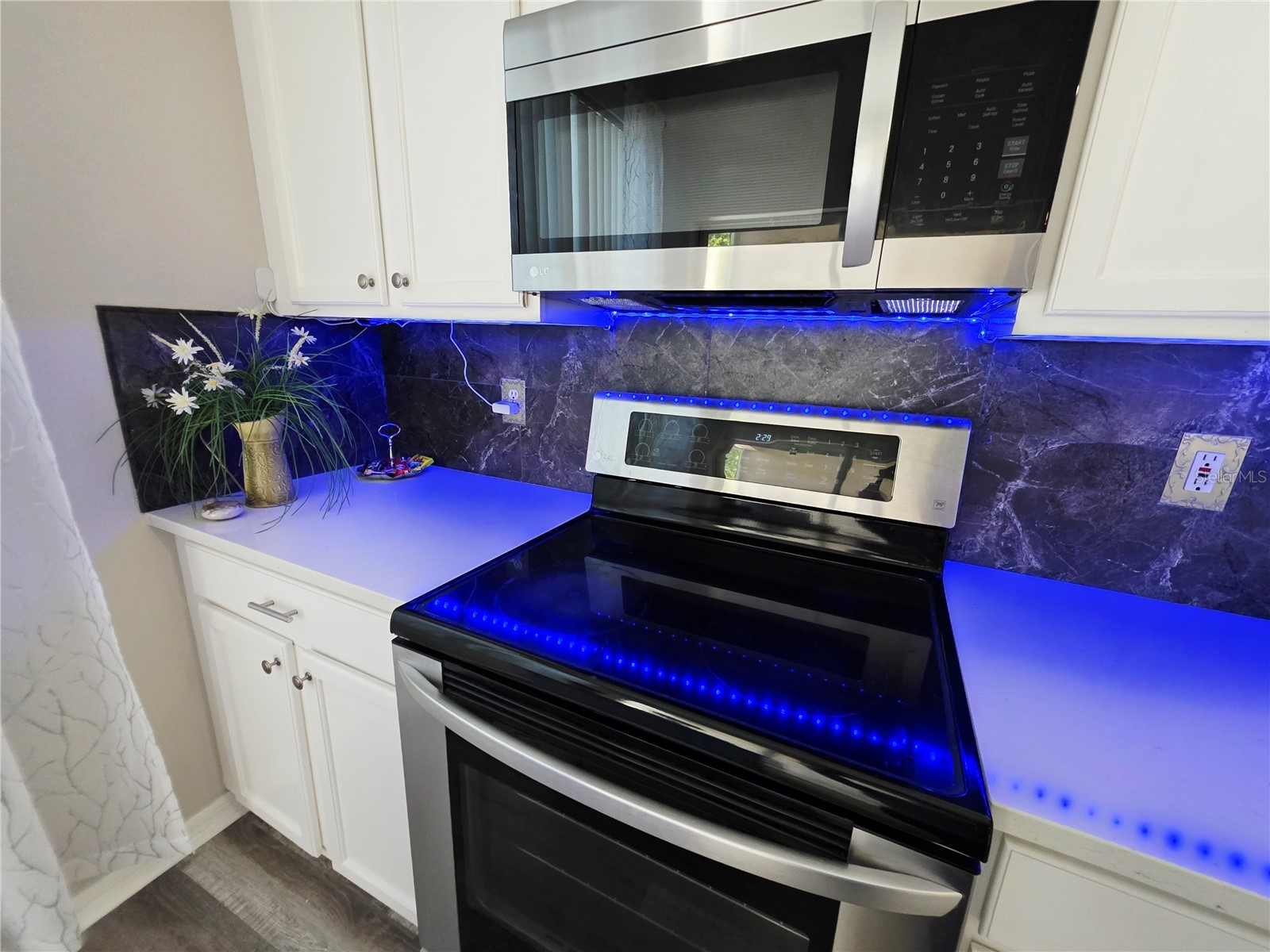 580 Black Lion Drive NE Saint Petersburg FL 33716 TB8474226 image13