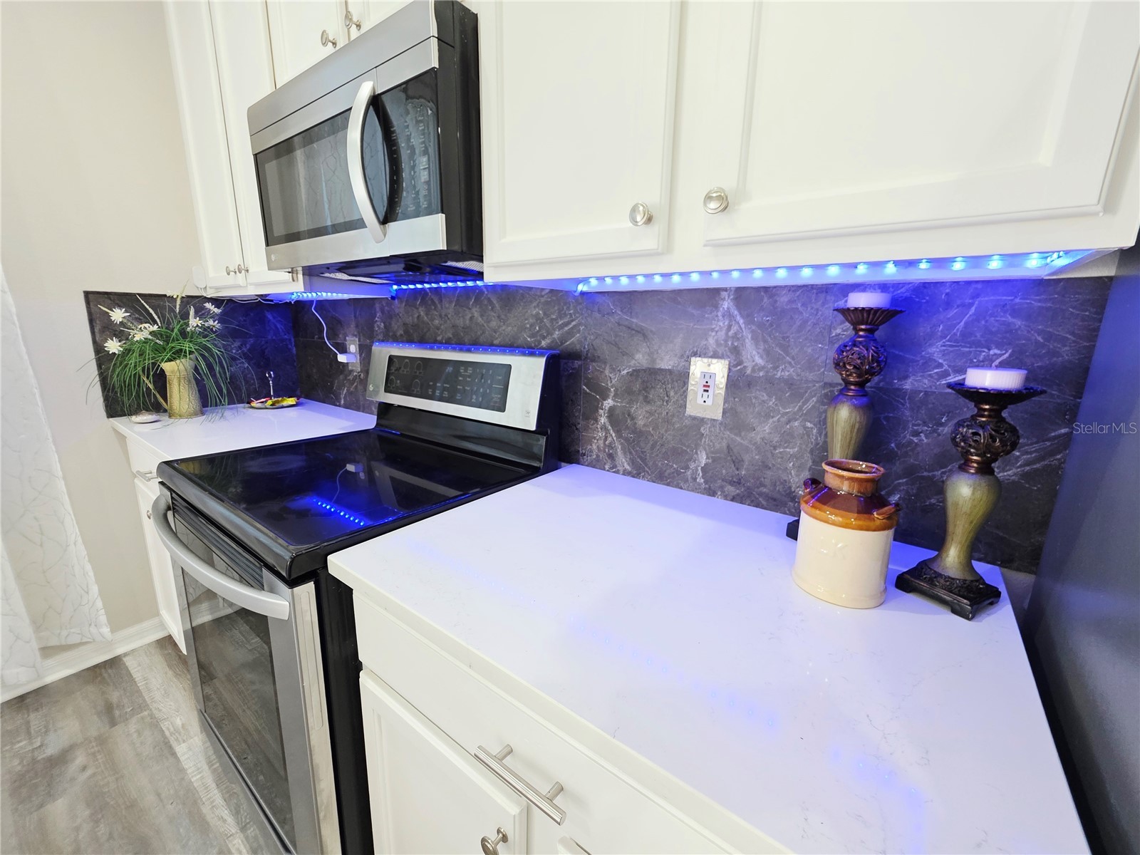 580 Black Lion Drive NE Saint Petersburg FL 33716 TB8474226 image16