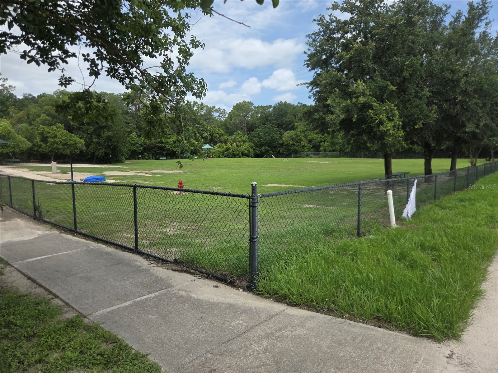 580 Lakeview Avenue Orange City FL 32763 O6412830 image34