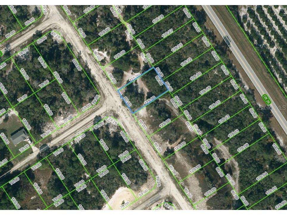 580 Morningside Drive Lake Placid FL 33852 OM624619 image1