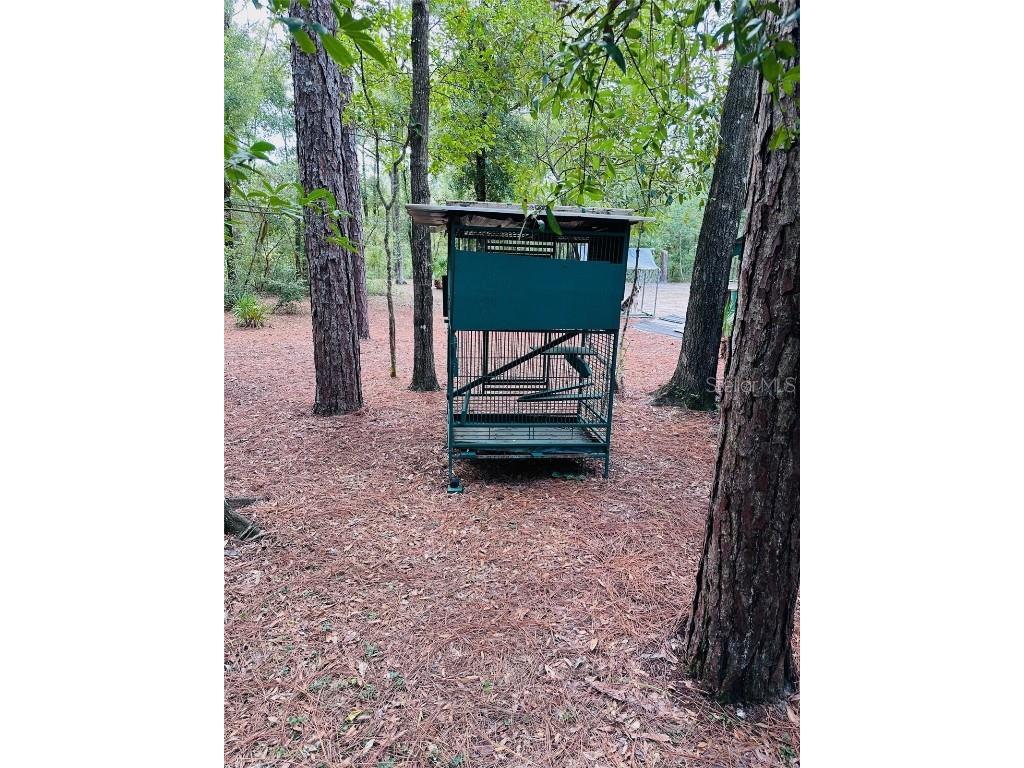 580 NE 829th Street Old Town FL 32680 GC534233 image10