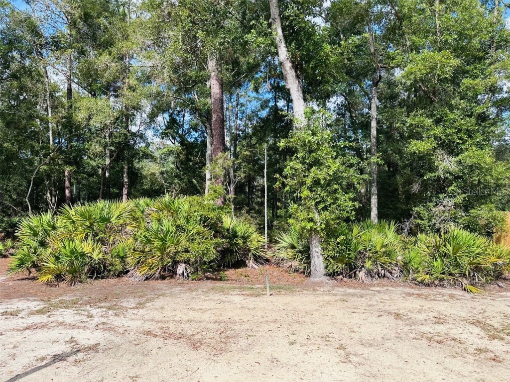 580 NE 829th Street Old Town FL 32680 GC534233 image13