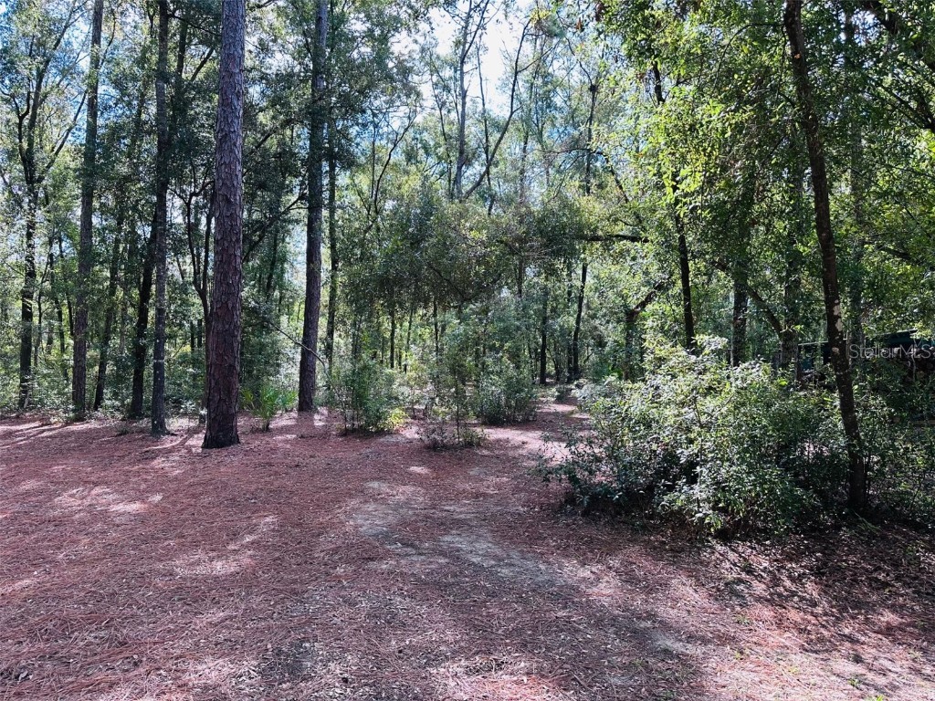 580 NE 829th Street Old Town FL 32680 GC534233 image7