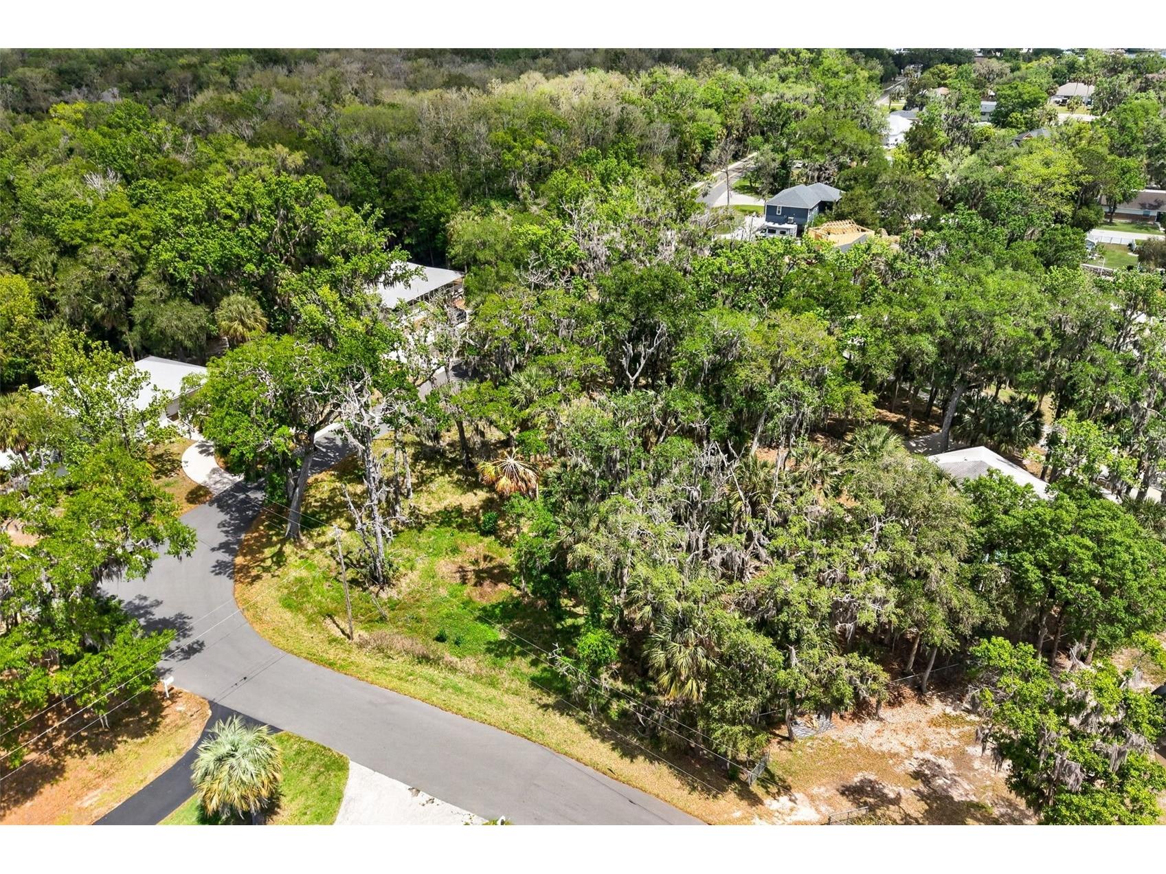 580 NW 14th Place Crystal River FL 34428 OM722375 image15