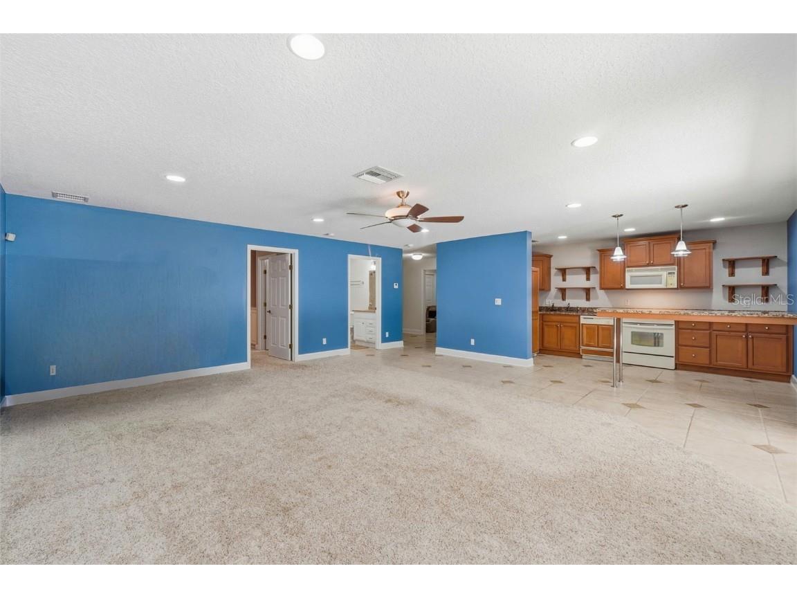 580 W 10th Avenue Mount Dora FL 32757 - LAKE DORA O6358920 image39