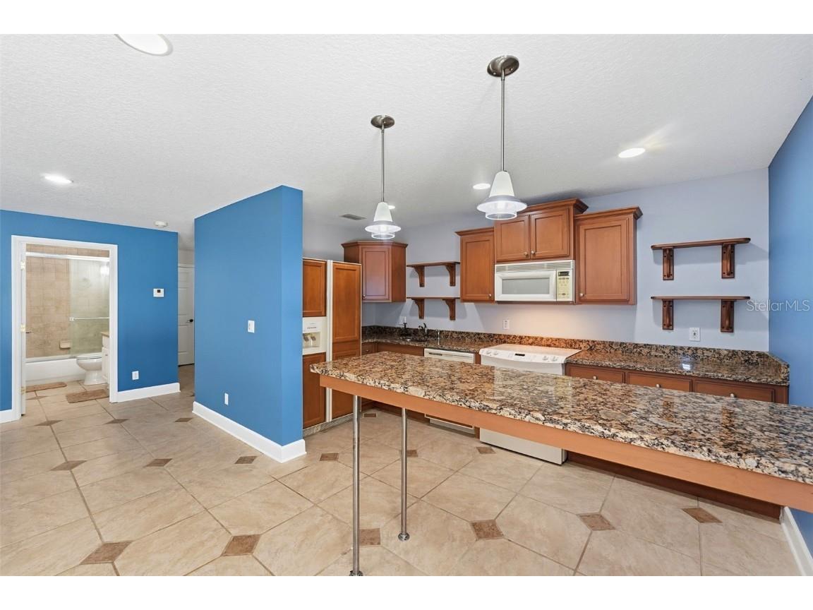 580 W 10th Avenue Mount Dora FL 32757 - LAKE DORA O6358920 image40