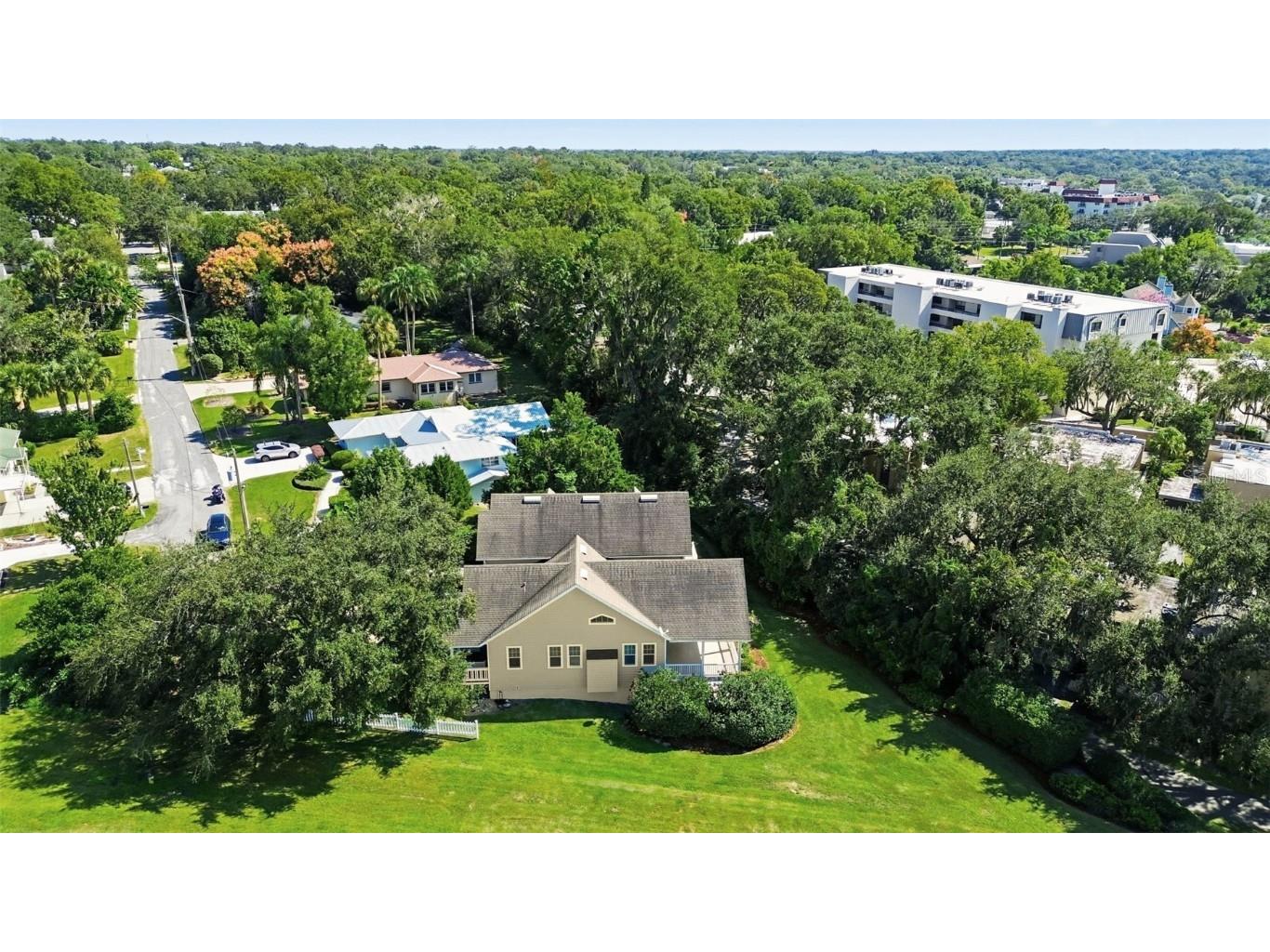 580 W 10th Avenue Mount Dora FL 32757 - LAKE DORA O6358920 image53