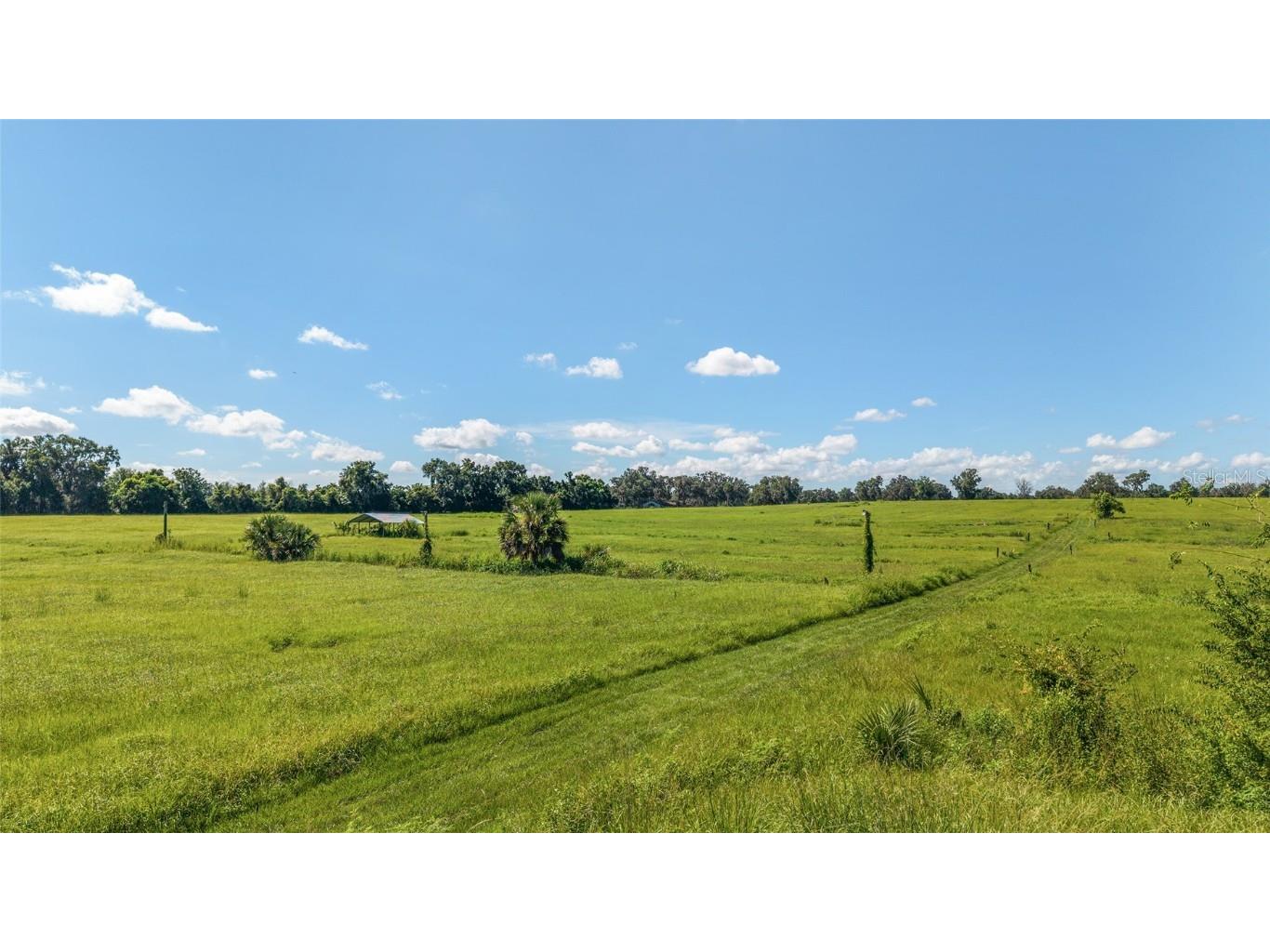 5800 SE 145th Street Summerfield FL 34491 OM705634 image12